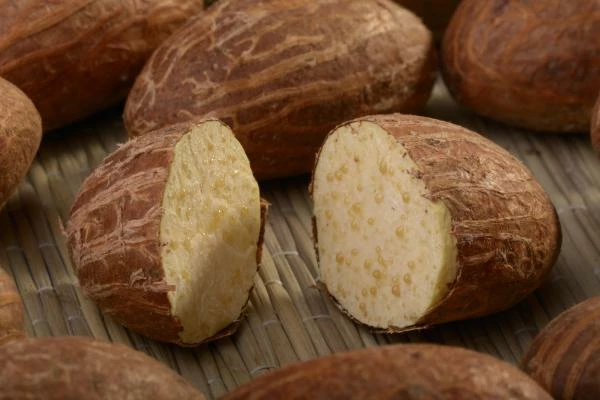 Spain Sees Unprecedented $556K Surge in Kola Nut Imports in 2023